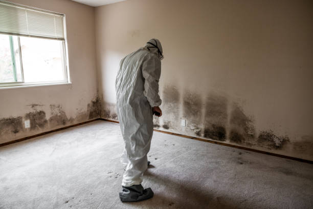 Best Biohazard Mold Removal  in Austin, TX